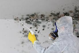 Best Mold Removal for HVAC Installations  in North Pearsall, TX